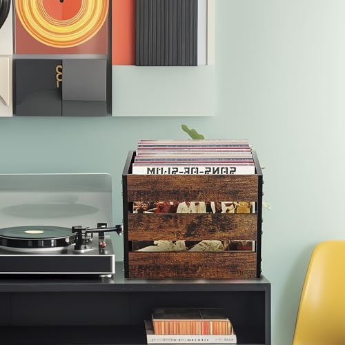 Vinyl Record Storage with Dividers for 100+ Records J689449