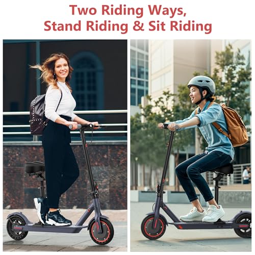 Electric Scooter with Dual Suspension D269