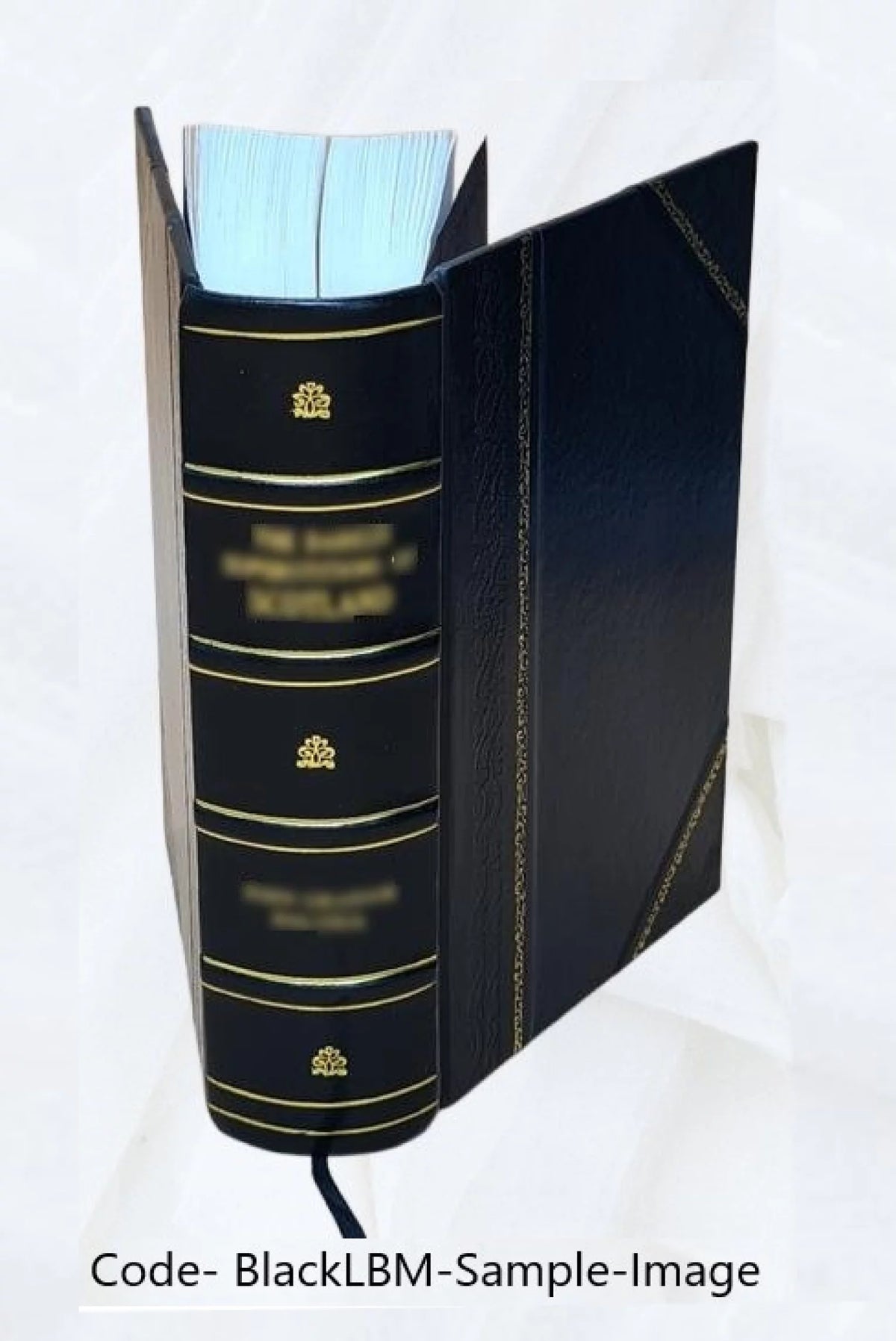 Chemistry Dictionary E198