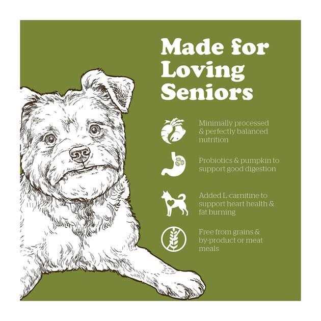 Grain-Free Senior Dry Dog Food W3810