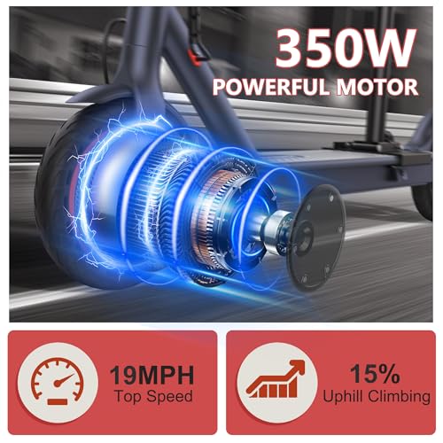 Electric Scooter with Dual Suspension D269