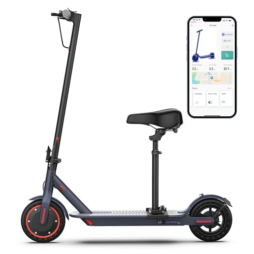 Electric Scooter with Dual Suspension D269