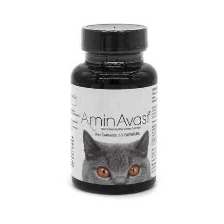 Kidney Support for Dogs T567
