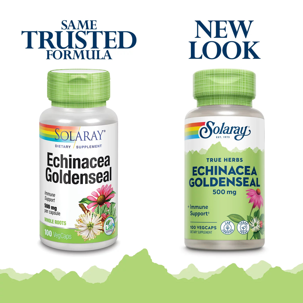 Echinacea Root & Goldenseal Root 500mg VegCaps I8838