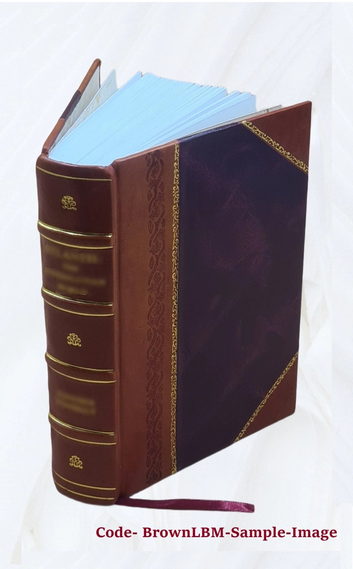 Chemistry Dictionary E198