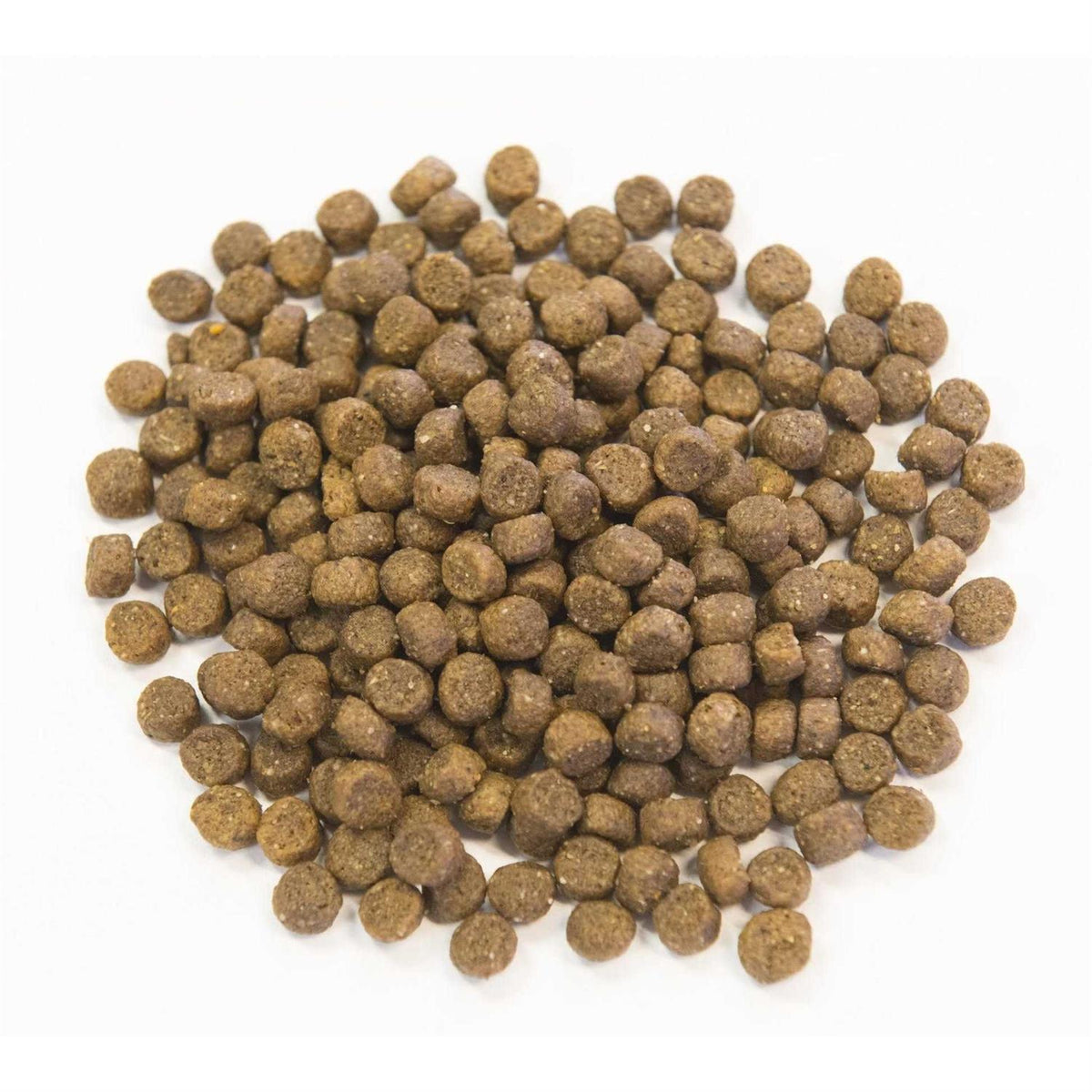 Ancient Grains with Chicken Dog Food F836697