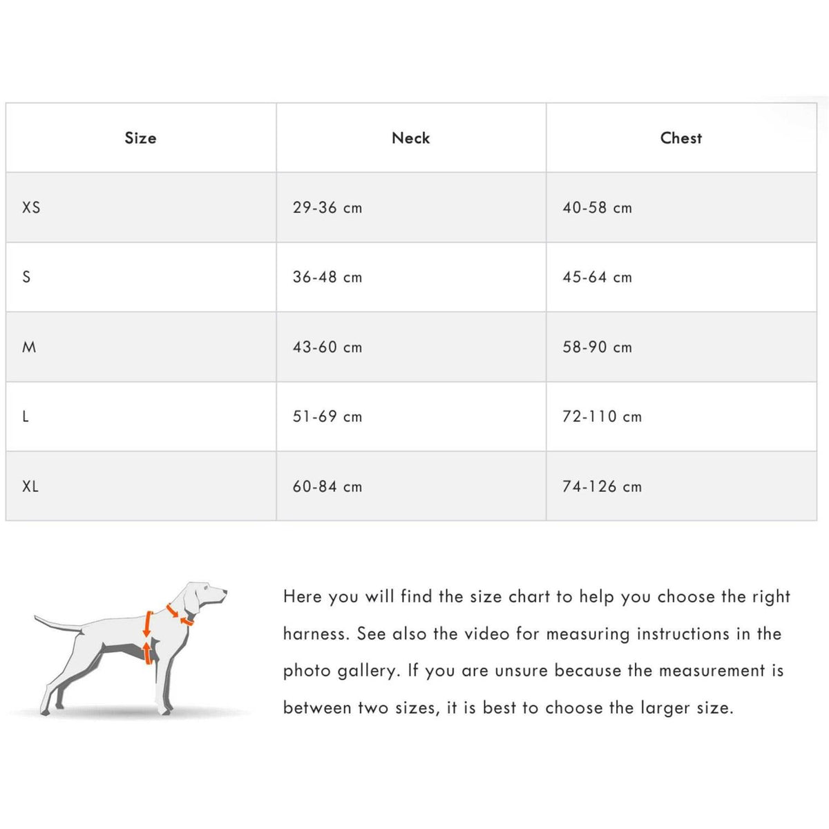 Dog Harness P972600