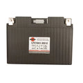 Lithium-Iron Battery W856