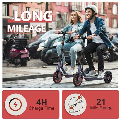 Electric Scooter with Dual Suspension D269