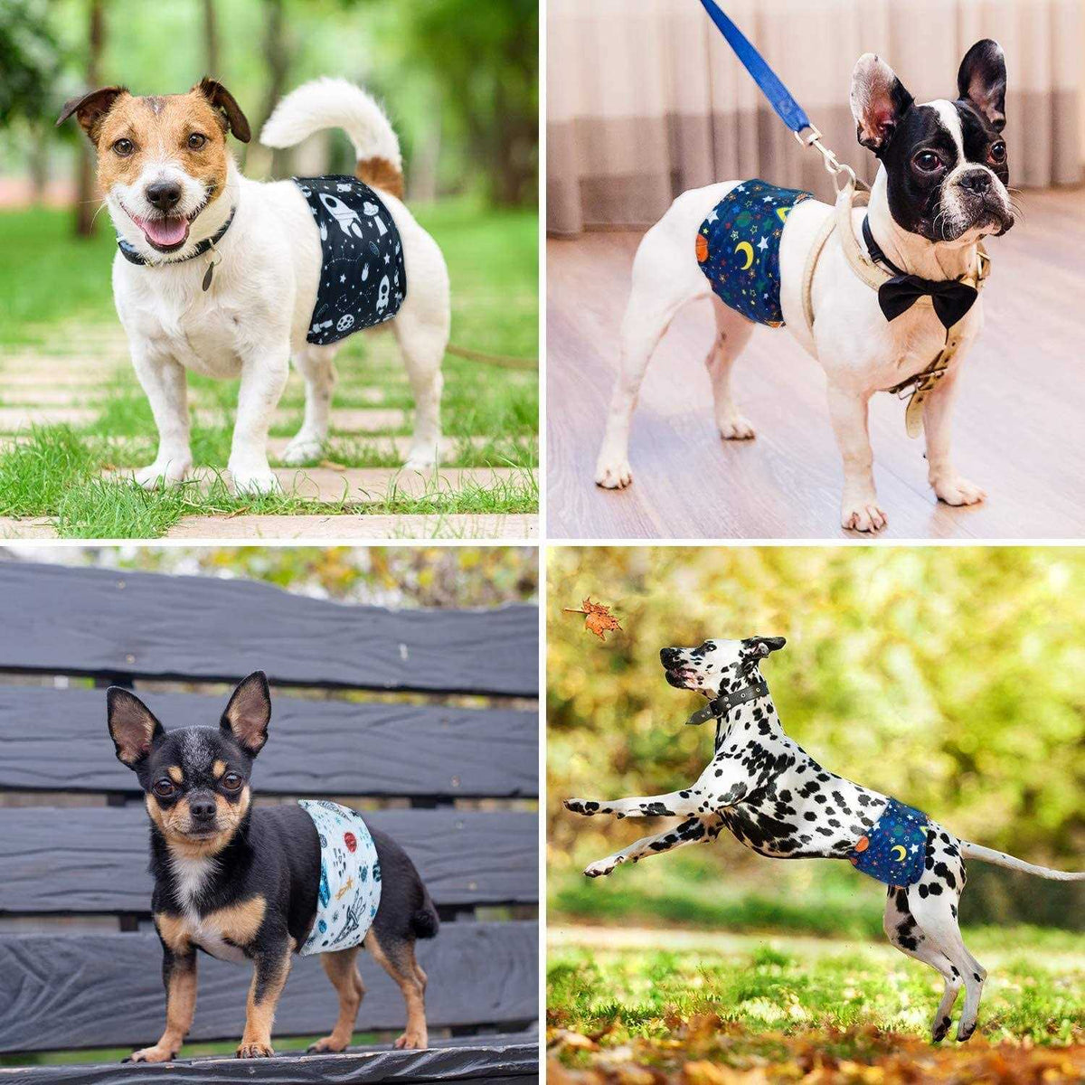 Washable Dog Diapers Male Dog Belly Bands B221